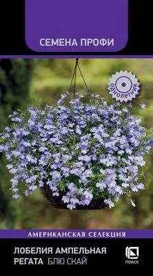 Лобелия ампельная Регата Блю Скай (цветной пакет) 10шт; Поиск фото в интернет-магазине Флоранж