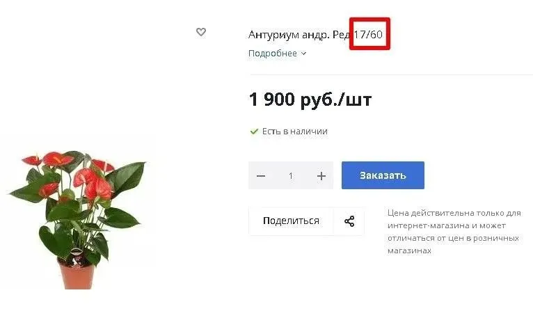 Цифры в наименовании горшечных цветов