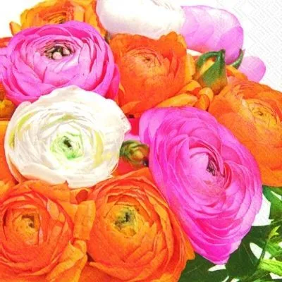ранункулюс Микс фото в интернет-магазине Флоранж