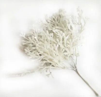 Ветка Туи с глиттером на вставке, H20см, белый фото в интернет-магазине Флоранж