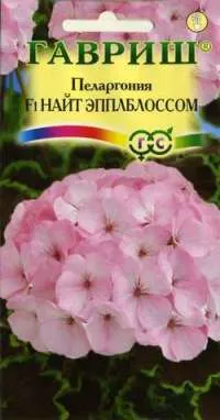 Пеларгония зональная Найт Эплблоссом F1 (цветной пакет) 4шт; Гавриш фото в интернет-магазине Флоранж