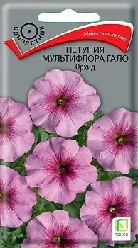 Петуния мультифлора Гало Орхид (цветной пакет) 10шт; Поиск