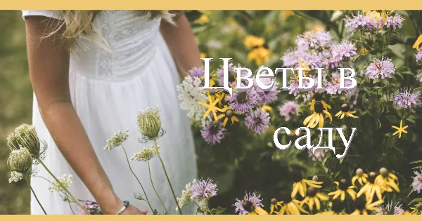 Цветы в саду