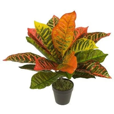 Растение искусственное в кашпо Кротон, H35см, зеленый фото в интернет-магазине Флоранж