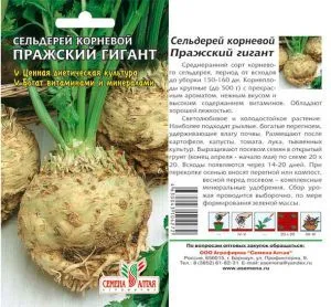 Сельдерей корневой Пражский Гигант (цветной пакет) 0,5г; Семена Алтая