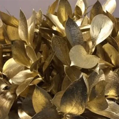 рускус крашенный Золото фото в интернет-магазине Флоранж