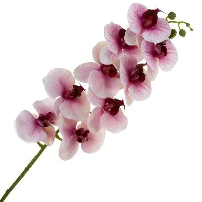 Цветок искусственный Фаленопсис, 94см, белый-розовый/белый фото в интернет-магазине Флоранж