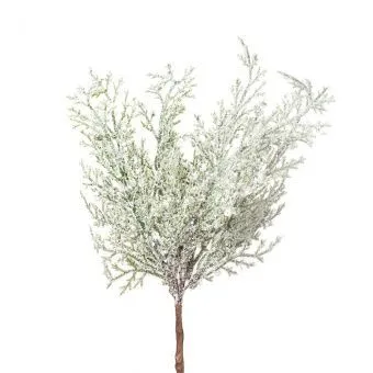 Ветки Туи на вставке 6шт., 24см фото в интернет-магазине Флоранж