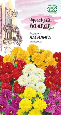 Георгина Василиса (цветной пакет) 0,5г; Гавриш фото в интернет-магазине Флоранж