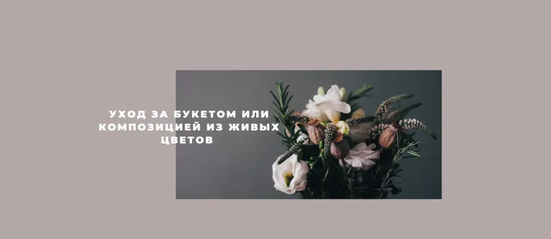 Уход за букетом. Советы и рекомендации.