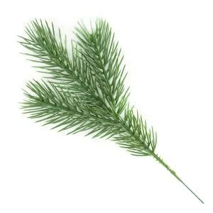 Ветка еловая, 20см, зеленый фото в интернет-магазине Флоранж