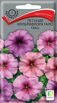 Петуния мультифлора Гало Смесь (цветной пакет) 10шт; Поиск