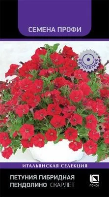 Петуния гибридная Пендолино Скарлет (цветной пакет) 5шт; Поиск фото в интернет-магазине Флоранж