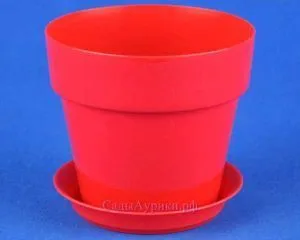 Горшок пластиковый Протея, красный, 11,5х10см, 0,6/0,7л; Россия