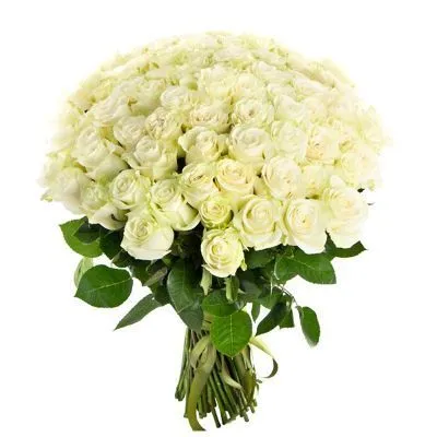 Роза белая 60 см  , состав Роза, цвет букета Белый, подходит 