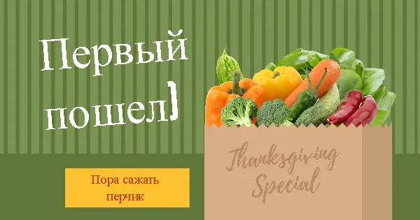 Сезон открыт!