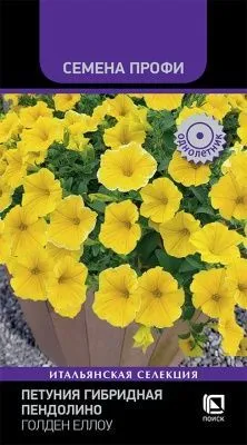 Петуния гибридная Пендолино Голден Еллоу (цветной пакет) 5шт; Поиск фото в интернет-магазине Флоранж