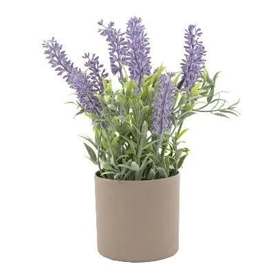 Лаванда в кашпо (пластик), 23см, сиреневый фото в интернет-магазине Флоранж