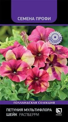 Петуния мультифлора Шейк Распберри (цветной пакет) 10шт; Поиск фото в интернет-магазине Флоранж