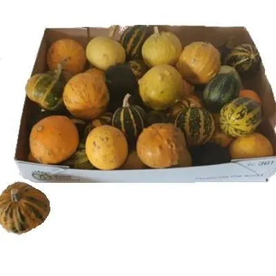 сиефрут Микс фото в интернет-магазине Флоранж