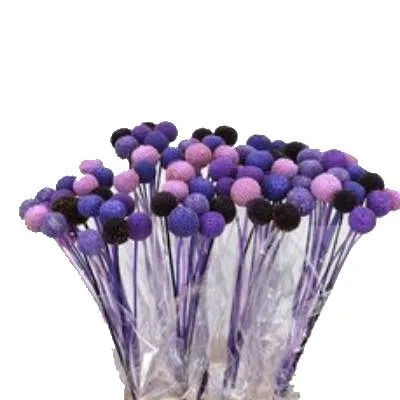 _краспедия краш блюм микс