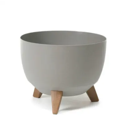 Во что высадить растение?