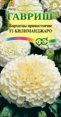 Бархатцы Килиманджаро F1 (цветной пакет) 0,05г; Гавриш фото в интернет-магазине Флоранж