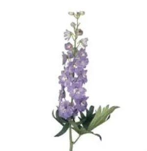 дельфиниум Гардиан Лавендер фото вживую в руках, состав, цветовая гамма 