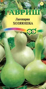 Лагенария Хозяюшка, смесь  (цветной пакет) 5шт; Гавриш