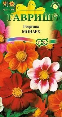 Георгина Монарх (цветной пакет) 0,5г; Гавриш фото в интернет-магазине Флоранж