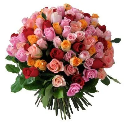 Роза Кения микс 50 см (Премиум)