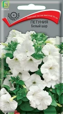 Петуния Белый шар (цветной пакет) 0,1г; Поиск фото в интернет-магазине Флоранж
