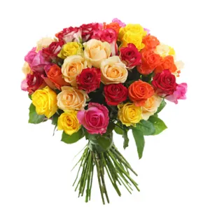 Роза микс 60 см для розн сайта
