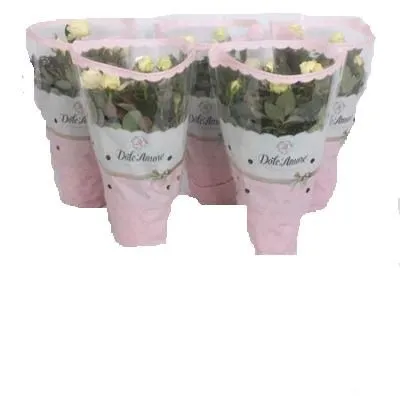 Роза Виктори Вайт 10/30 фото в интернет-магазине Флоранж