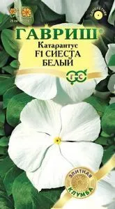 Катарантус Сиеста белый F1  (цветной пакет) 7шт; Гавриш