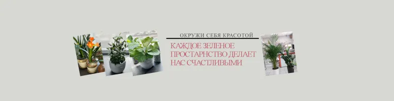 Озеленение