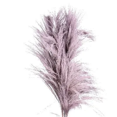 кортадерия Краш Милка фото в интернет-магазине Флоранж