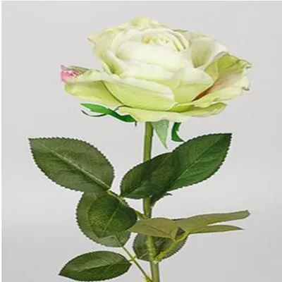 Роза Принц 70 см фото в интернет-магазине Флоранж