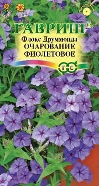 Флокс Очарование фиолетовое Друммонда (цветной пакет) 0,05г; Гавриш фото в интернет-магазине Флоранж