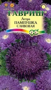 Астра Пампушка сливовая, (цветной пакет) 0,3г; Гавриш фото в интернет-магазине Флоранж