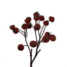 роза боттел Сенсейшен Фентези фото в интернет-магазине Флоранж