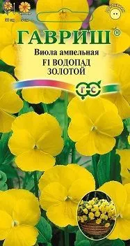 Виола витрокка Водопад золотой F1 ампельная (цветной пакет) 5шт; Гавриш фото в интернет-магазине Флоранж