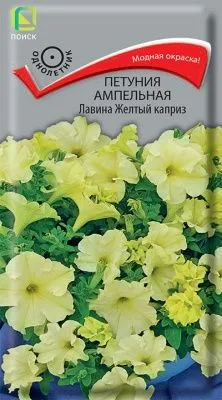 Петуния ампельная Лавина Желтый каприз (цветной пакет) 10шт; Поиск фото в интернет-магазине Флоранж
