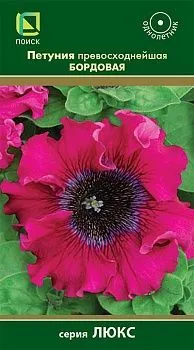 Петуния превосходнейшая Бордовая (цветной пакет) 10шт; Поиск