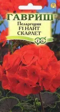 Пеларгония зональная Найт Скарлет F1 (цветной пакет) 4шт; Гавриш фото в интернет-магазине Флоранж