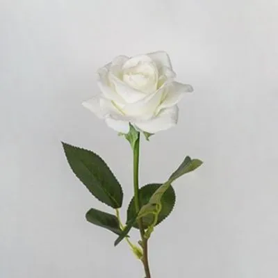 Роза Келли, белый, 44 см фото в интернет-магазине Флоранж