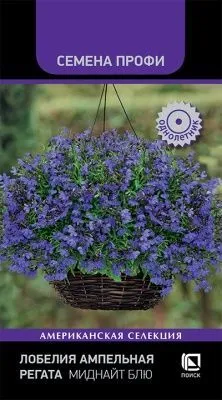 Лобелия ампельная Регата Миднайт Блю (цветной пакет) 10шт; Поиск фото в интернет-магазине Флоранж