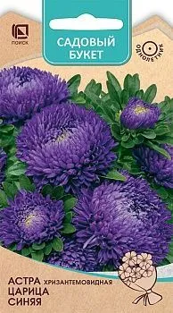 Астра хризантемовидная Царица Синяя (цветной пакет) 0,1г; Поиск