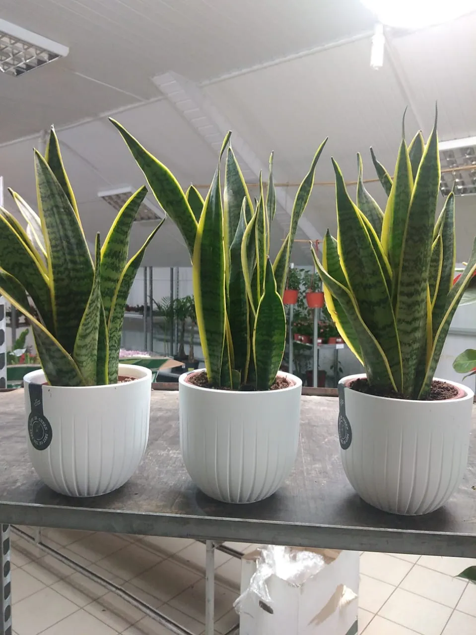 WhatsApp Image 2022-09-14 at 15.22.18 (1).jpeg