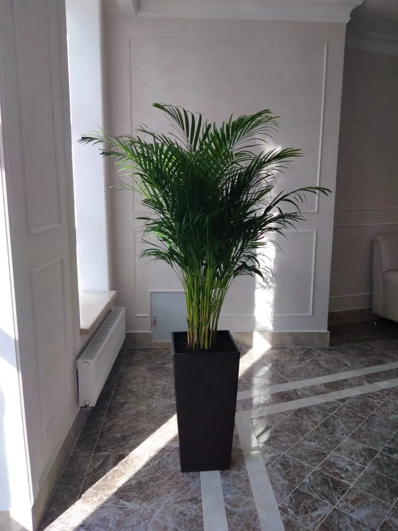 WhatsApp Image 2022-09-14 at 15.22.21 (1).jpeg